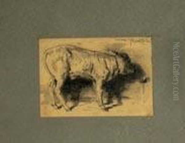 Vitello Nella Stalla - view 1