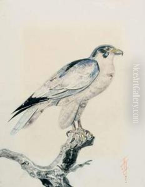 Faucon De Profil Sur Une Branche - view 1