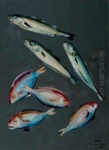 Merlans, Dorades, Etude