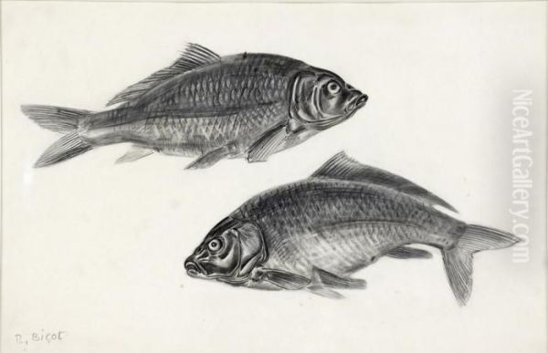 Les Poissons - view 1