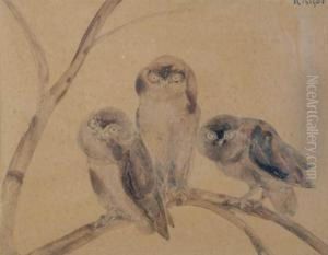 Les Trois Chouettes