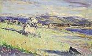Paisaje Costero