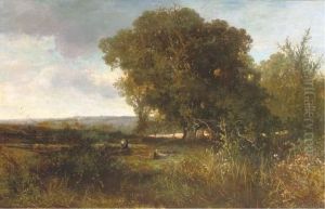 Gathering Wood At The Edge Of A Forest