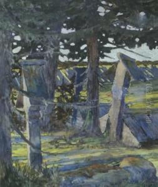 Forest Scape - view 1
