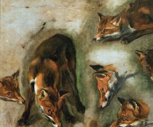 Studies of a Fox by Peeter Boel
