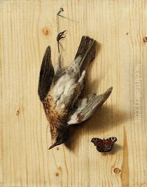 A Trompe L'oeil Of A Wooden
Partition With A Dead Fieldfare Suspended From A Nail With A Peacock
Butterfly - view 1