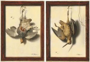 Trompe L'oeil by Jacobus Biltius