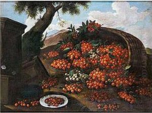 Cesto De Cerezas by Bartolommeo Bimbi