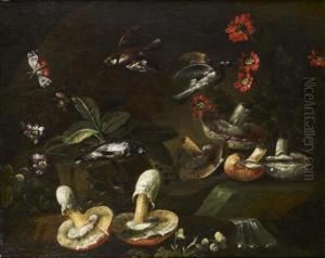 Nature Morte Aux Champignons Et Fleurs, Animee D'oiseaux by Bartolommeo Bimbi