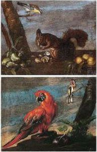 Still Life Of A Macaw And A Goldcrest In A Landscape by Bartolommeo Bimbi