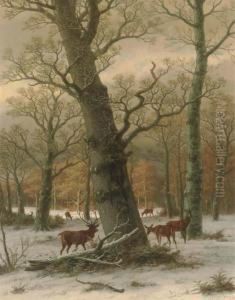 Deer In A Forest