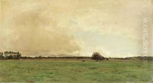 An Expansive Meadow
Oil On Canvas An Expansive Meadow
Oil On Canvas