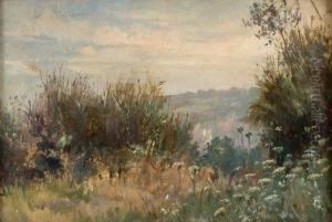 Paesaggio In Collina by Nicola Biondi