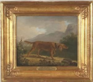 Titled, setter In A Landscape Titled, setter In A Landscape
