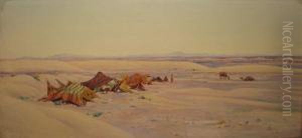 Campement Dans Le Desert - view 1