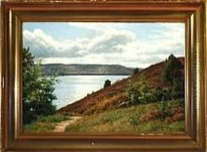 A Danish Summer Landscape From Silkeborg Lake District by Axel Birkhammer