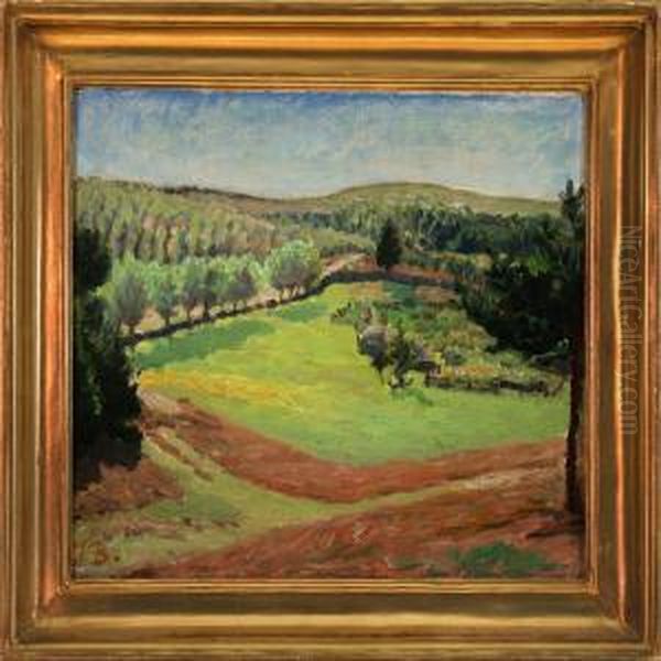 Studie Fra Bakkerne - view 1