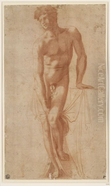 Male nude - view 1