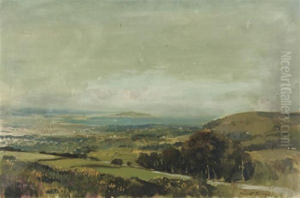 Dublin Bay - view 1