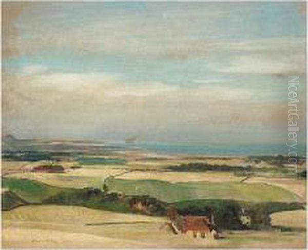 Extensive Landscape - view 1