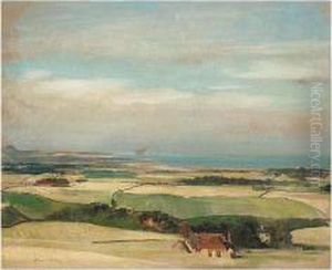 Extensive Landscape