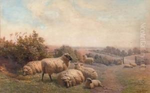 Sheep Resting On A Summer's Day by Henry Birtles