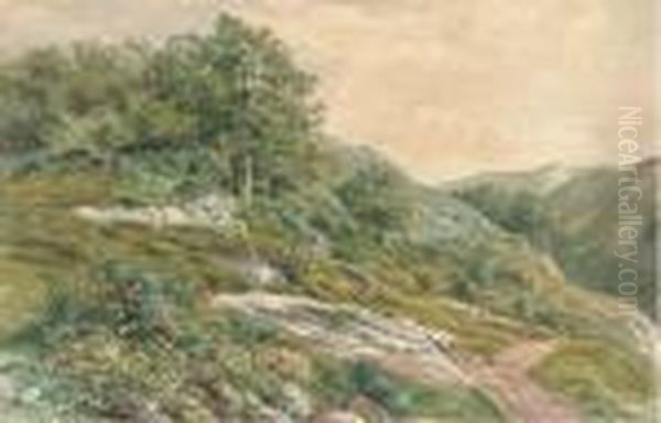 The Hillside Path - view 1