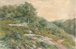 The Hillside Path by Henry Birtles
