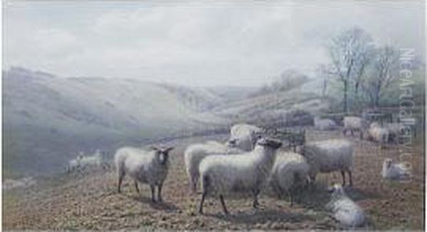 Sheep On A Hillside - view 1