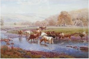 Cattle Watering At A Stream