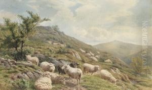 Sheep Grazing On The Hilltops by Henry Birtles