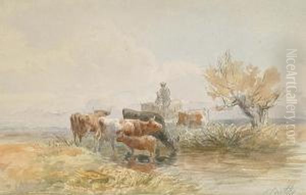 Cattle Watering - view 1