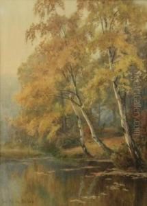 Autumn Shoreline