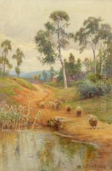 Sheep On A Trail - view 1