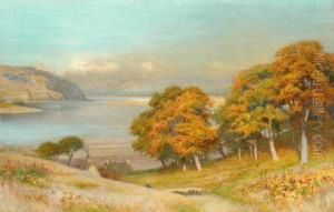 Autumn View
