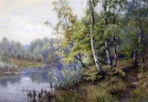 Birch Trees Beside A River