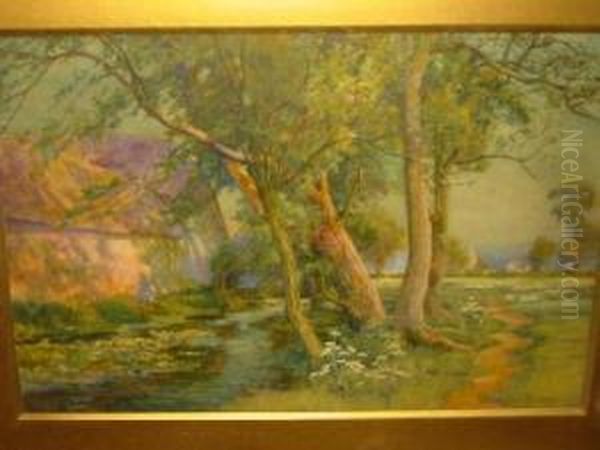 Sunshine And Shadows - view 1
