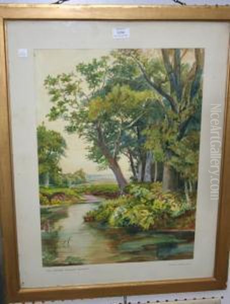 The Fishpond, Burnham Beeches - view 1