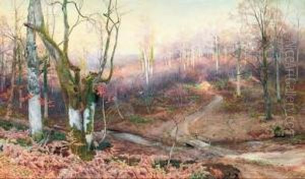 In The Heart Of The Forest - view 1