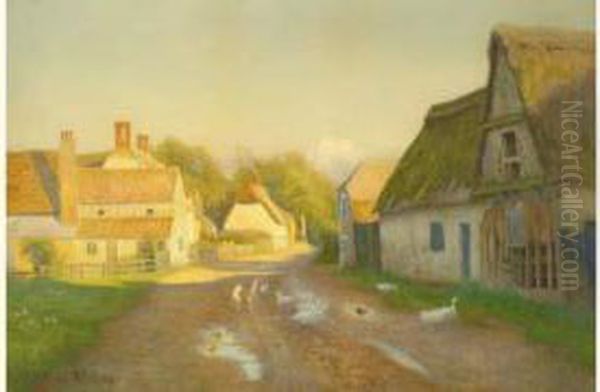 Canards Sur La Route Du Village - view 1
