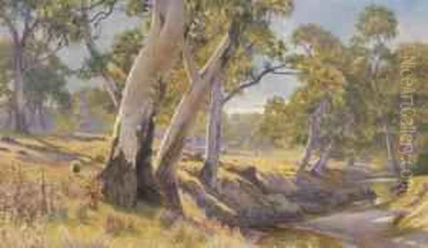 Collingrove Creek - view 1