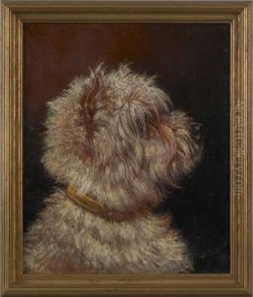 Dog Portrait - view 1