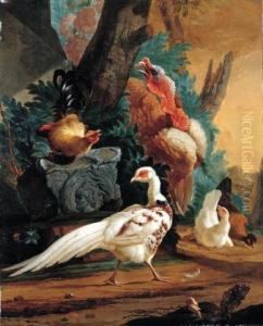 White Pheaasant by Abraham Bisschop Dordrecht