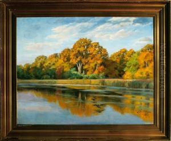 A Danish Lake Scenery From Hillerod Town - view 1