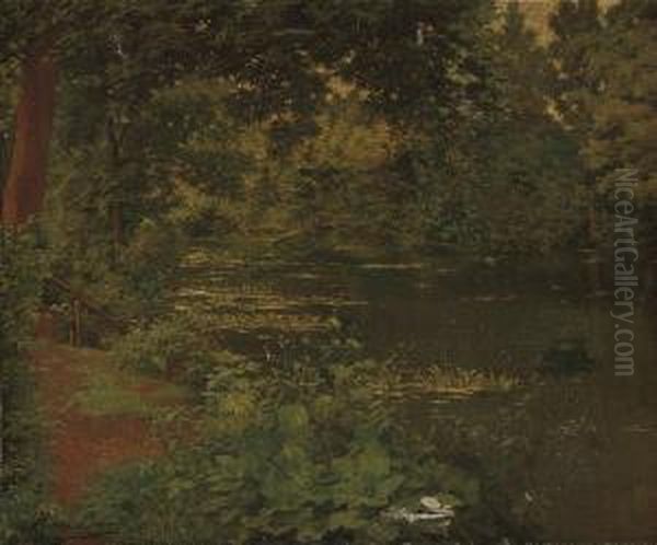 A Woodland Pool - view 1