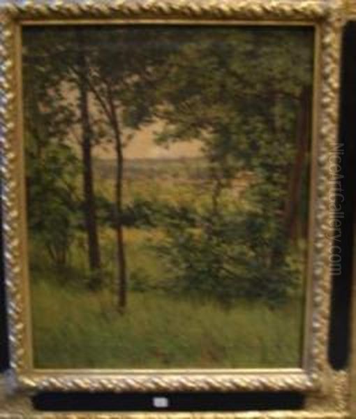 Paysage - view 1