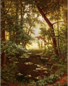 Les Nenuphars by Henri Biva