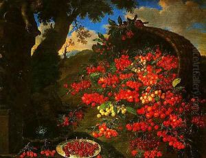 Cherries by Bartolommeo Bimbi