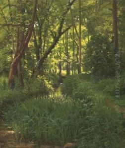 A Woodland Stream A Woodland Stream
