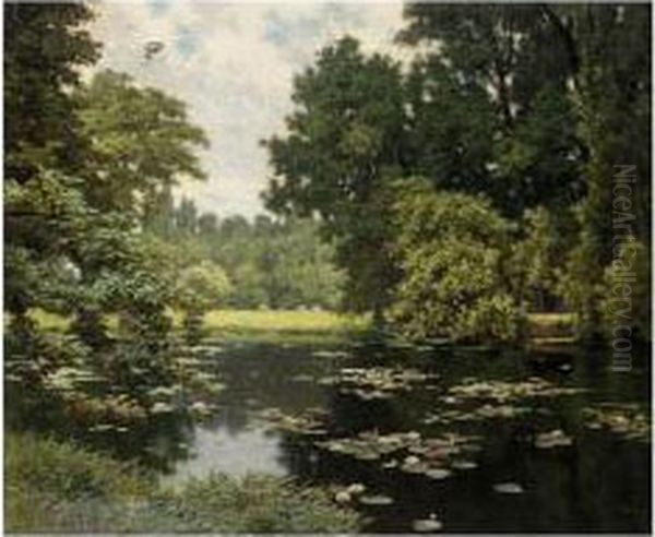 Etang En Ile De France - view 1